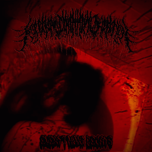 Floccinaucinihilipilification (USA) : Everything Decays